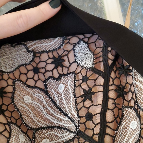 Host Pick BCBG Lace Strapless Knit White Black Nude NWT - Picture 5 of 13